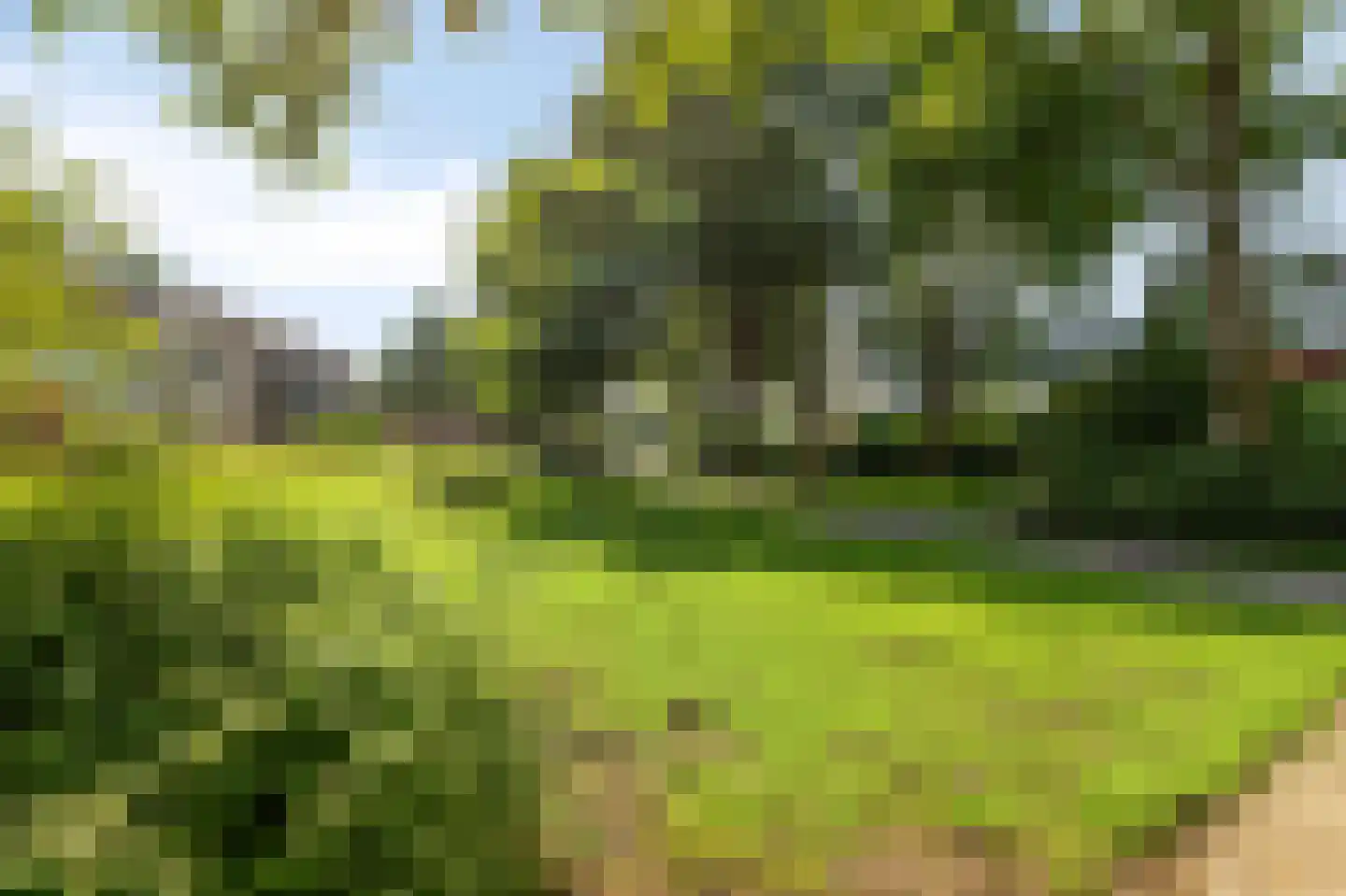 Grashof 11 Alphen aan den Rijn thumbnail 31