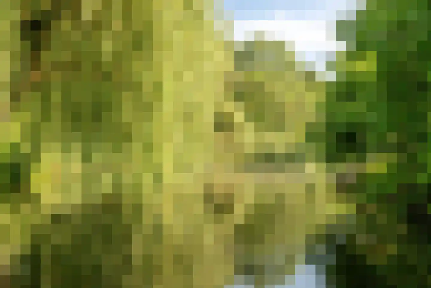 Grashof 11 Alphen aan den Rijn thumbnail 33