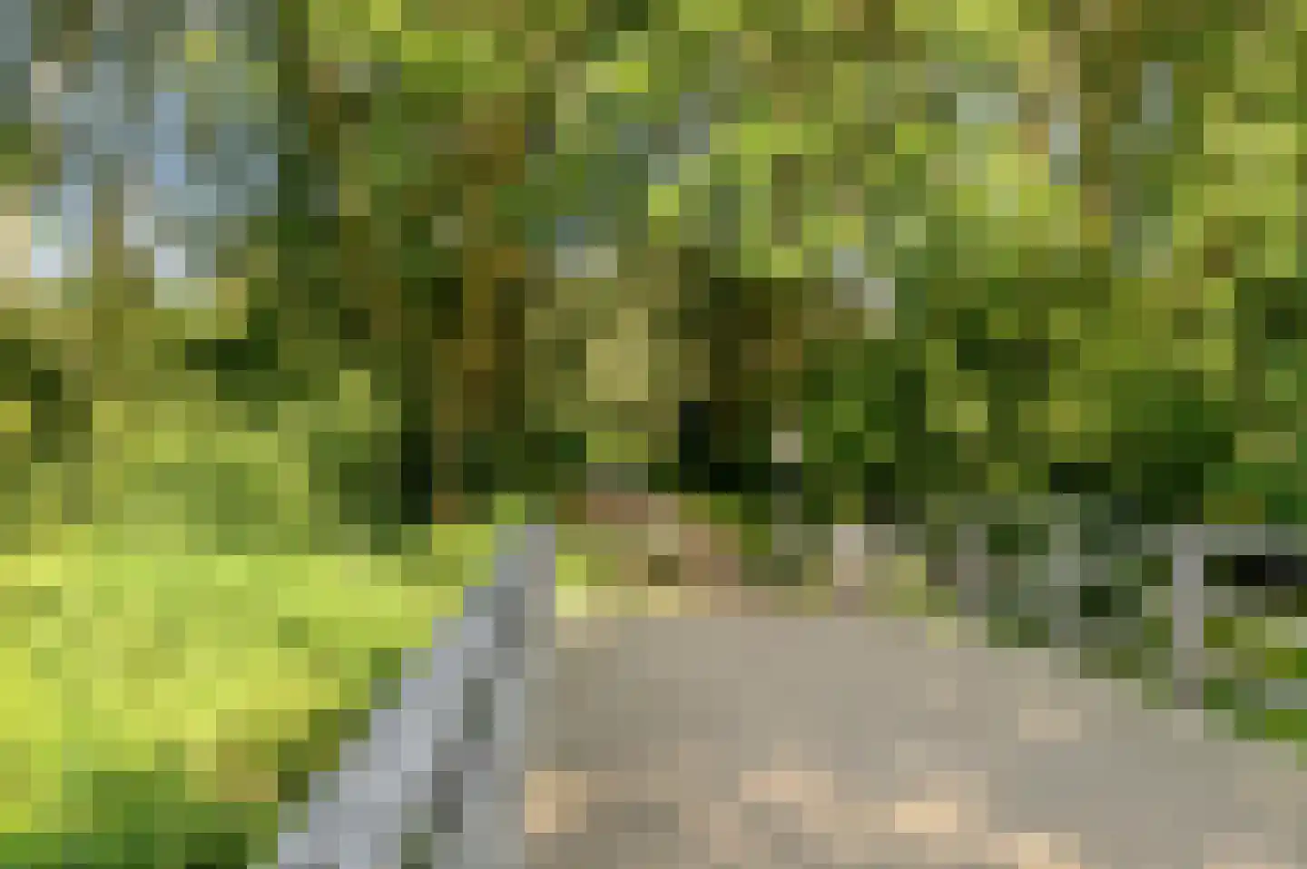 Grashof 11 Alphen aan den Rijn thumbnail 34