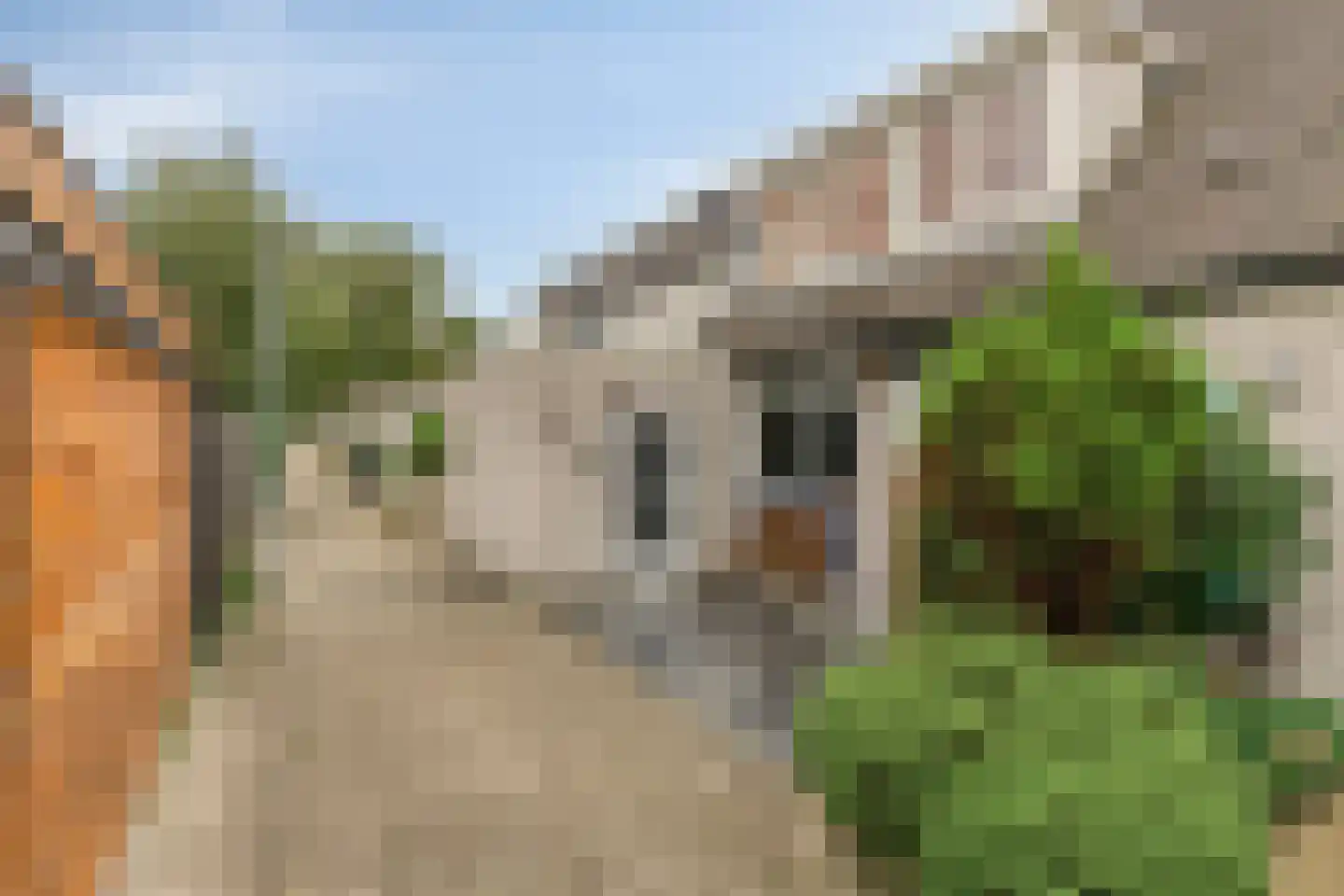Grashof 16 Leidschendam thumbnail 5