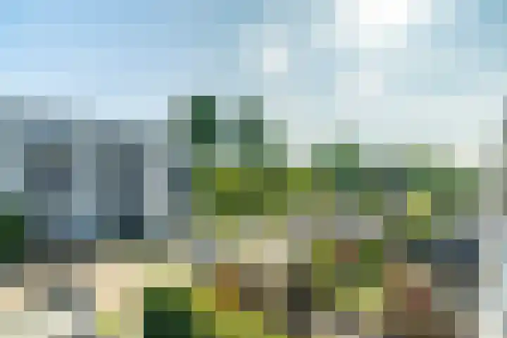 Grashof 171 Leidschendam thumbnail 15