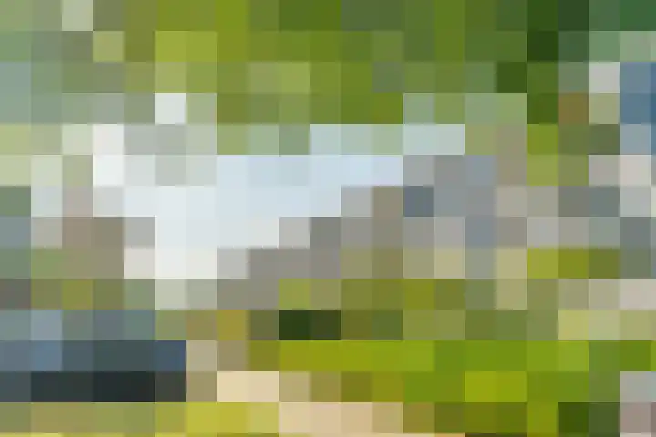 Grashof 171 Leidschendam thumbnail 38