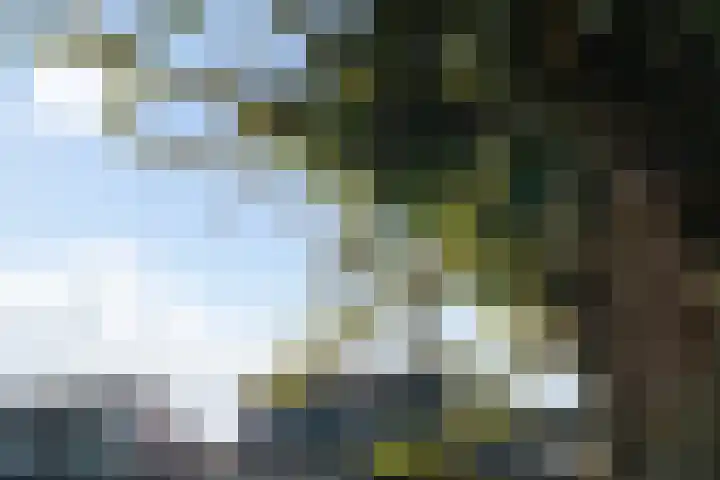 Grashof 28 Alphen aan den Rijn thumbnail 10