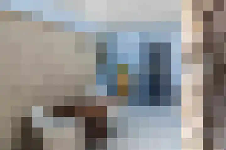 Grashof 28 Alphen aan den Rijn thumbnail 11