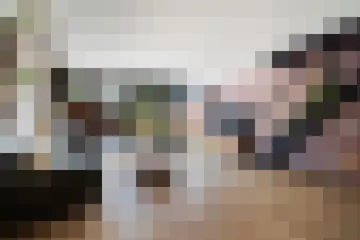 Grashof 28 Alphen aan den Rijn thumbnail 17