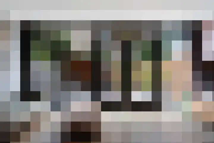 Grashof 28 Alphen aan den Rijn thumbnail 18