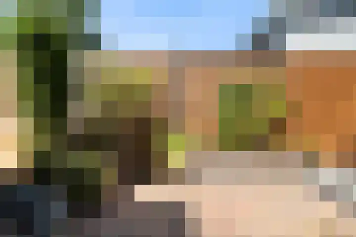 Grashof 28 Alphen aan den Rijn thumbnail 23