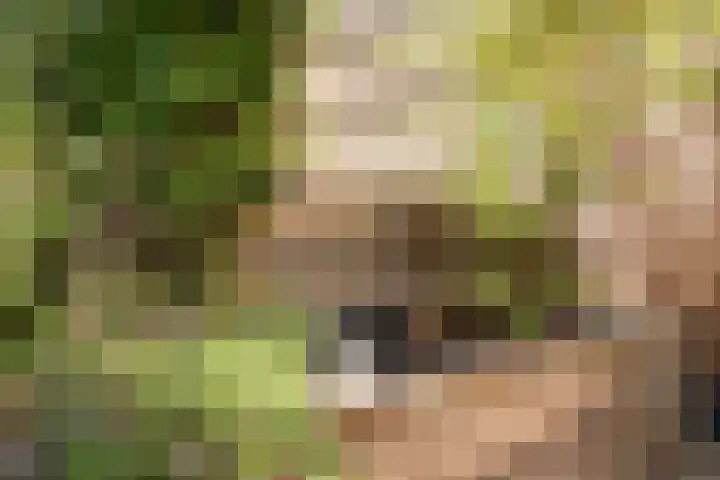 Grashof 28 Alphen aan den Rijn thumbnail 25