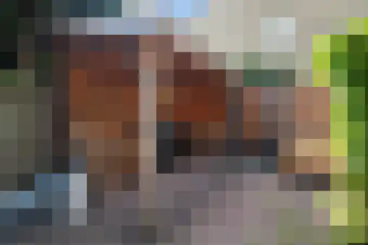 Grashof 28 Alphen aan den Rijn thumbnail 26