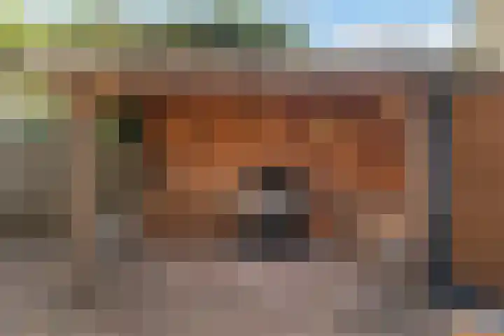 Grashof 28 Alphen aan den Rijn thumbnail 27