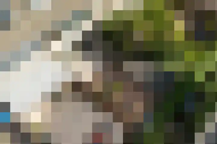 Grashof 28 Alphen aan den Rijn thumbnail 30