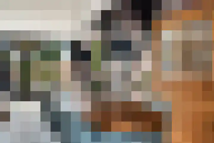 Grashof 28 Alphen aan den Rijn thumbnail 35