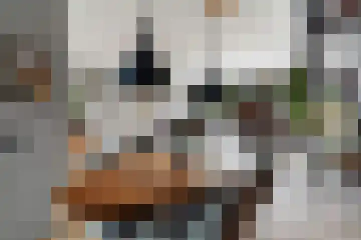 Grashof 28 Alphen aan den Rijn thumbnail 36