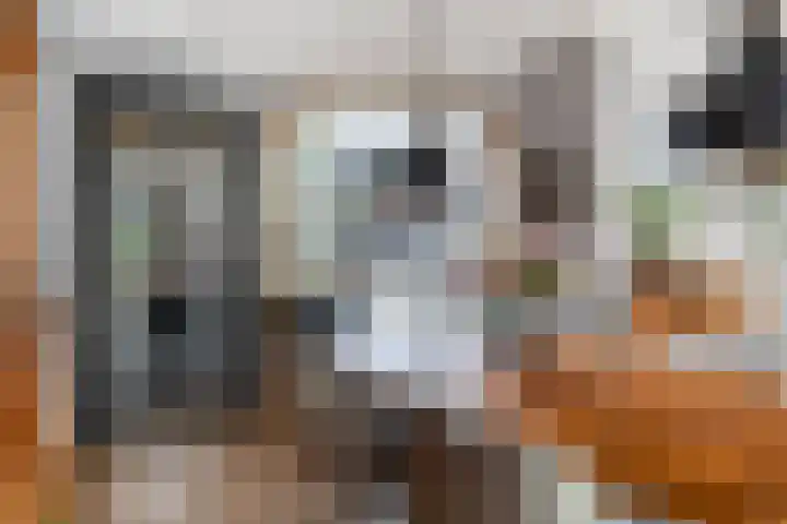 Grashof 28 Alphen aan den Rijn thumbnail 37
