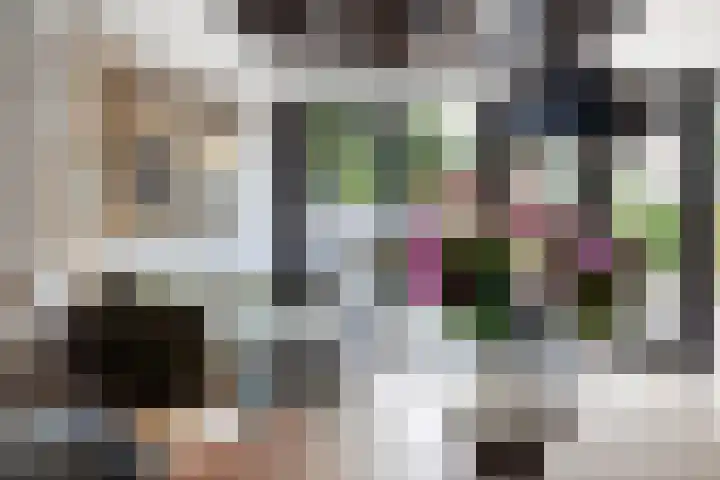 Grashof 28 Alphen aan den Rijn thumbnail 38