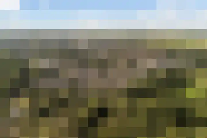 Grashof 28 Alphen aan den Rijn thumbnail 4