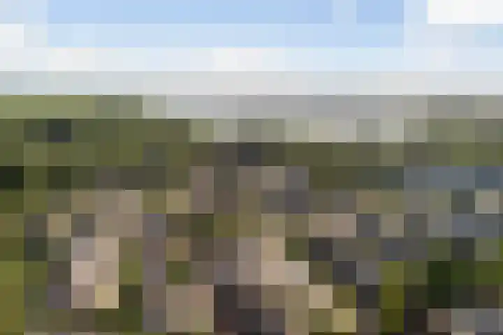 Grashof 28 Alphen aan den Rijn thumbnail 5