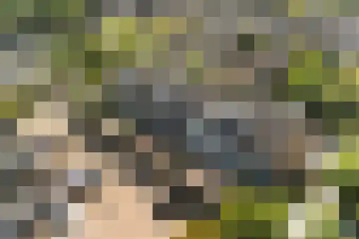 Grashof 28 Alphen aan den Rijn thumbnail 6