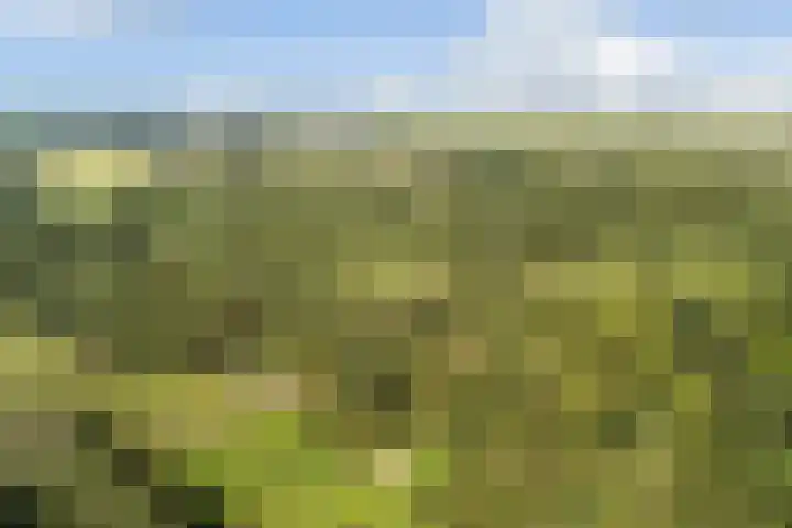 Grashof 28 Alphen aan den Rijn thumbnail 61