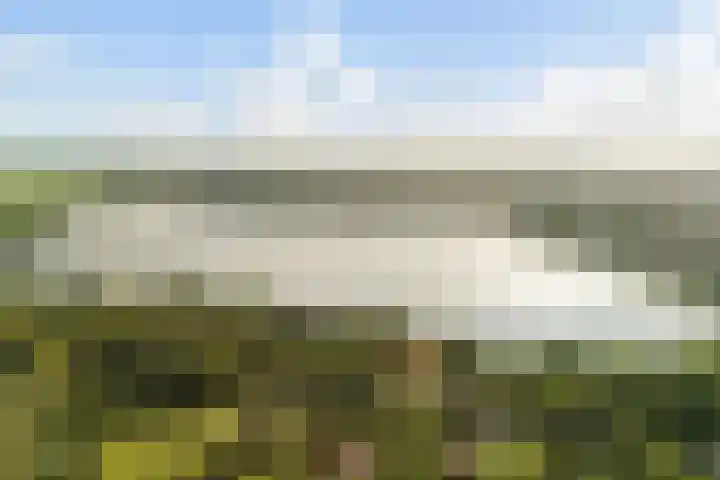 Grashof 28 Alphen aan den Rijn thumbnail 62