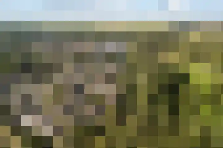 Grashof 28 Alphen aan den Rijn thumbnail 63