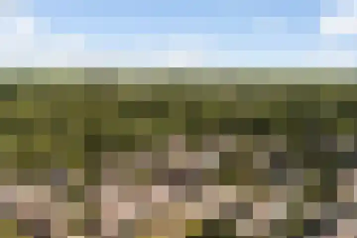 Grashof 28 Alphen aan den Rijn thumbnail 64