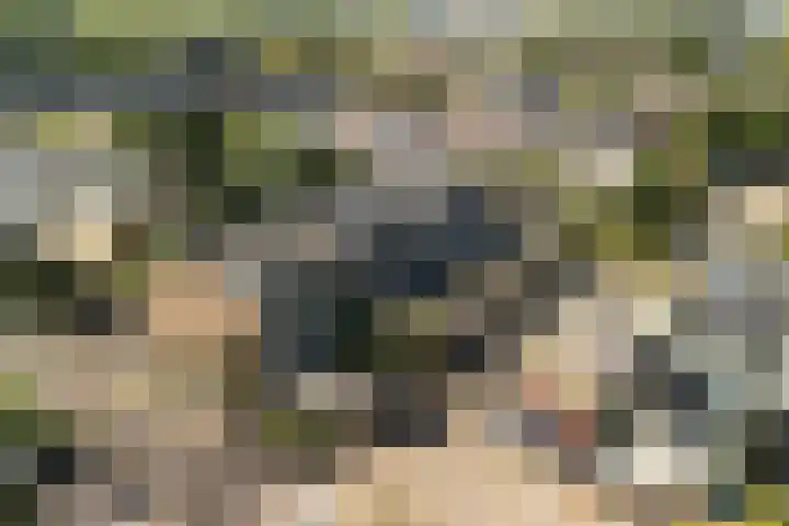 Grashof 28 Alphen aan den Rijn thumbnail 7