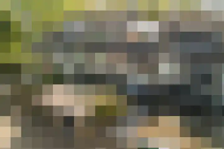 Grashof 28 Alphen aan den Rijn thumbnail 8