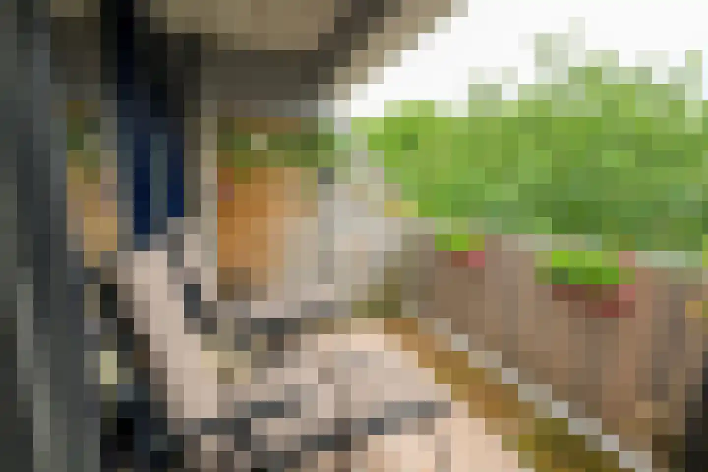 Grashof 291 Leidschendam thumbnail 15