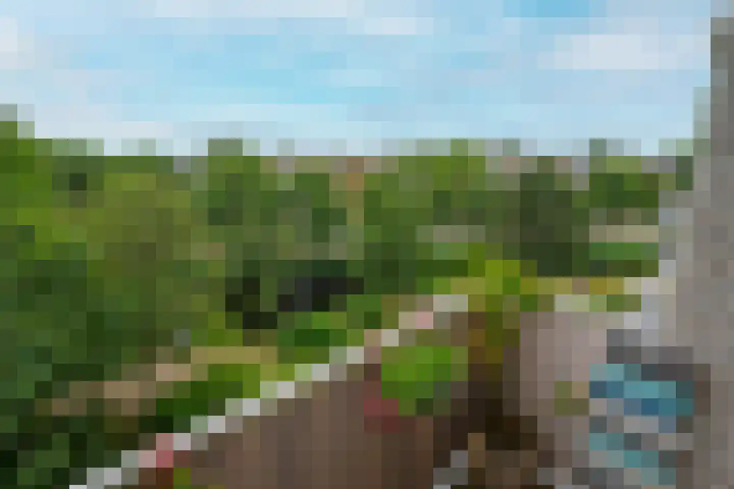 Grashof 291 Leidschendam thumbnail 16