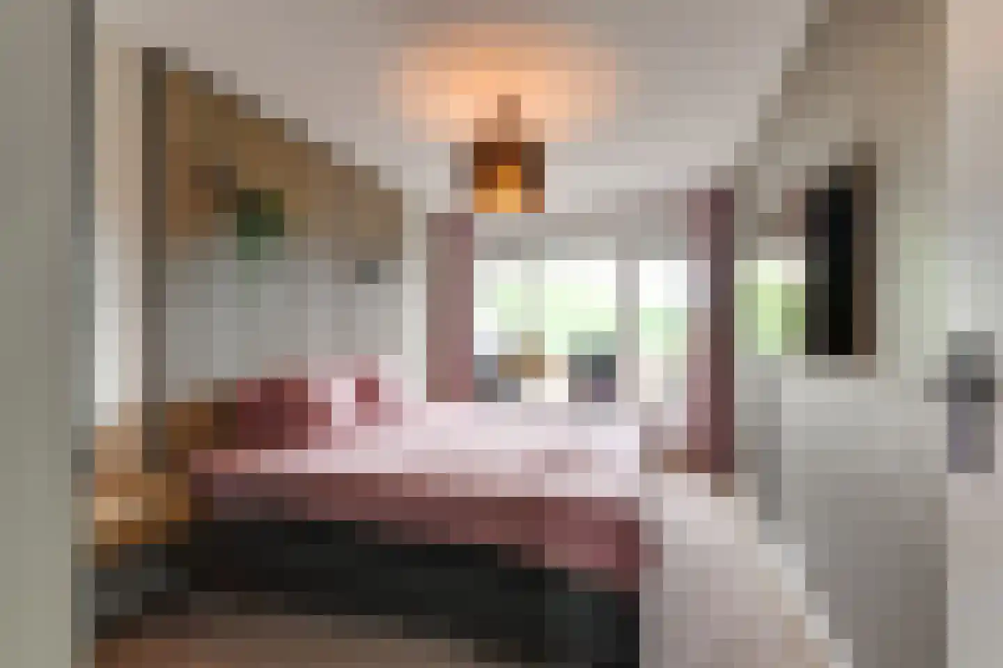 Grashof 291 Leidschendam thumbnail 17