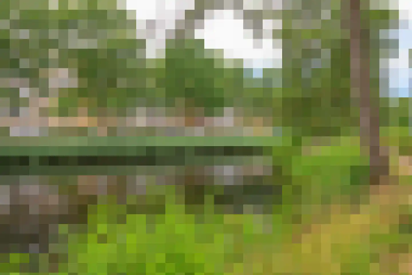 Grashof 291 Leidschendam thumbnail 24