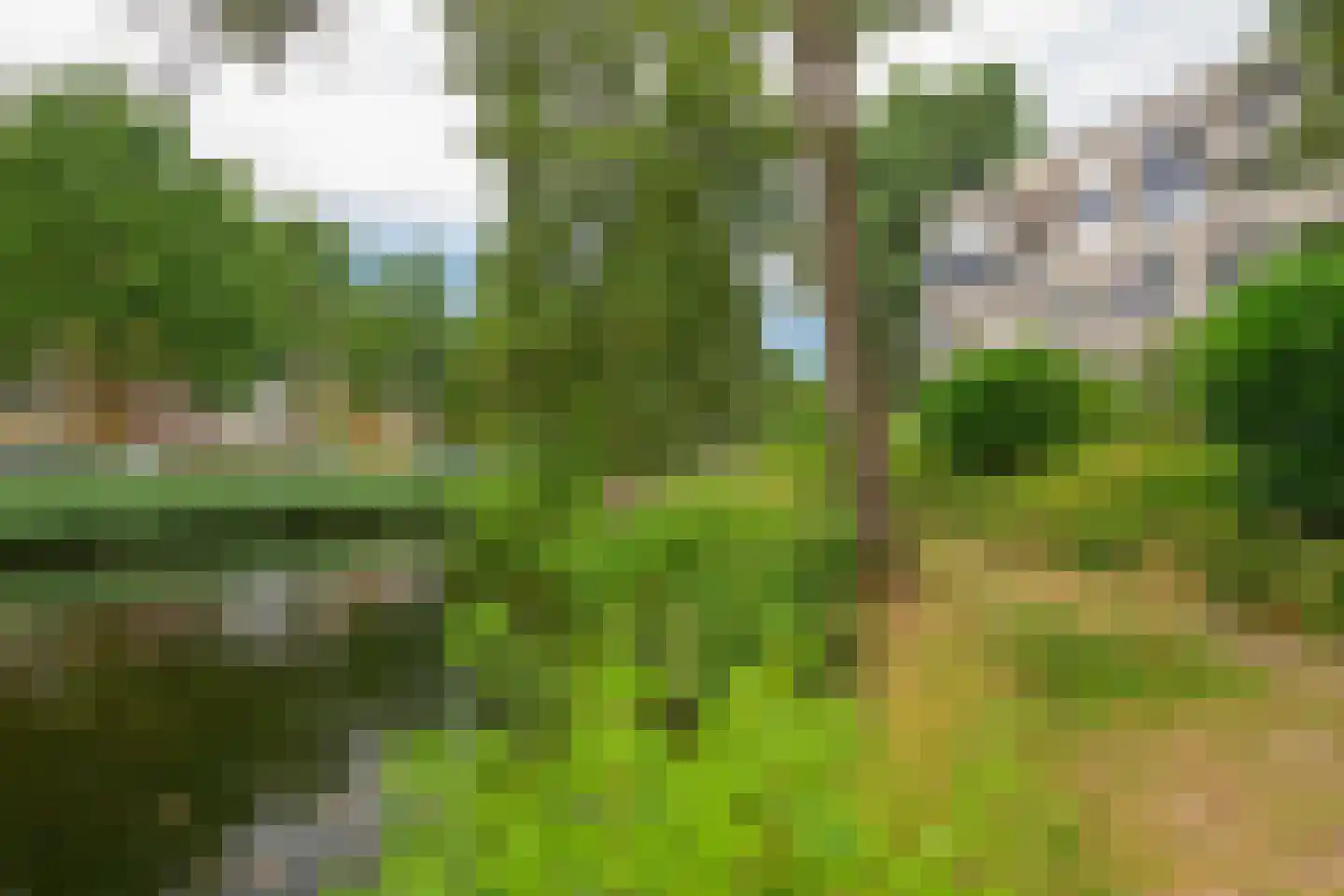 Grashof 291 Leidschendam thumbnail 25