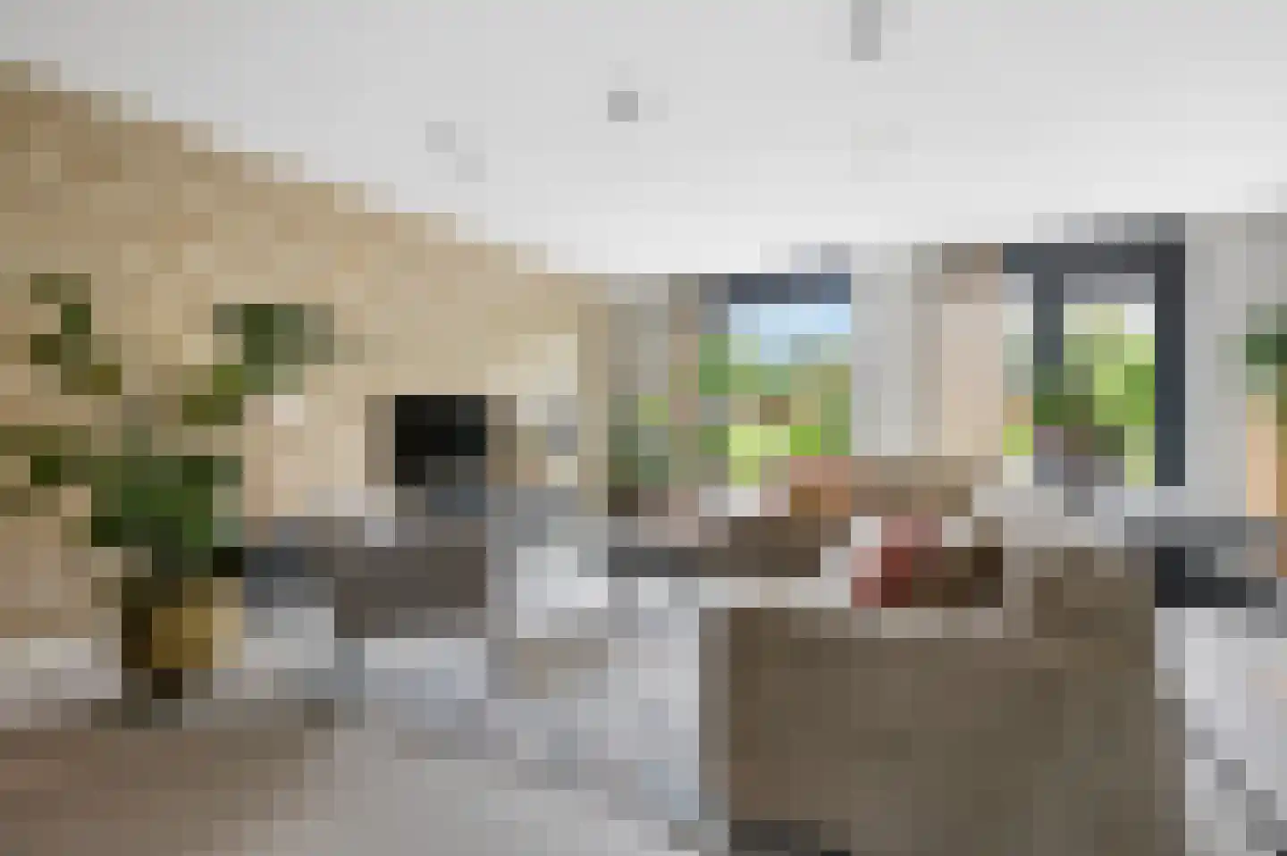 Grashof 35 Nijkerk thumbnail 12