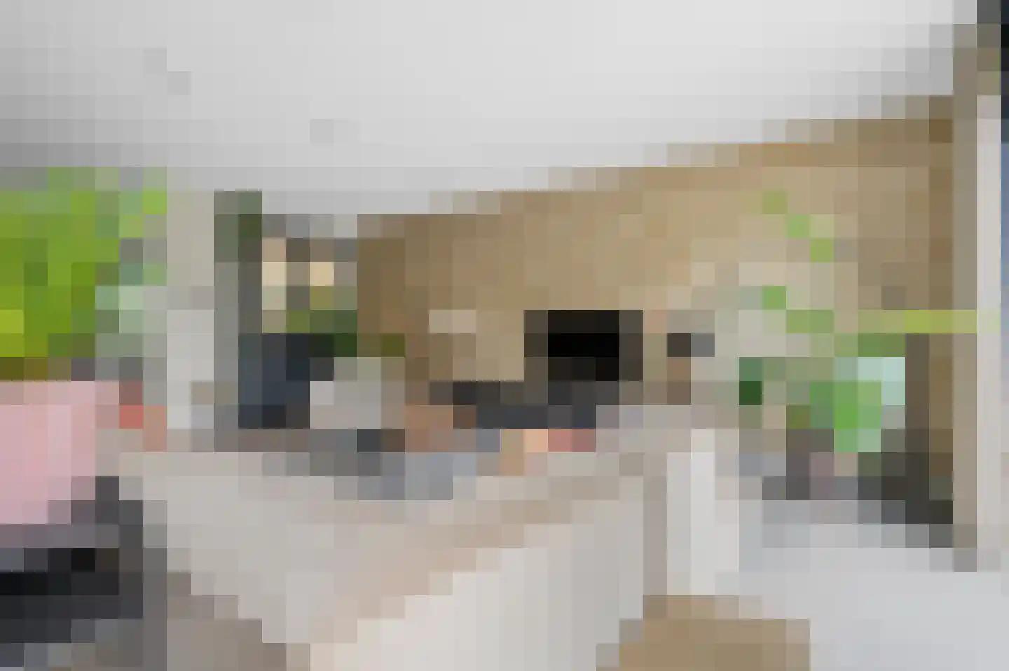 Grashof 35 Nijkerk thumbnail 13