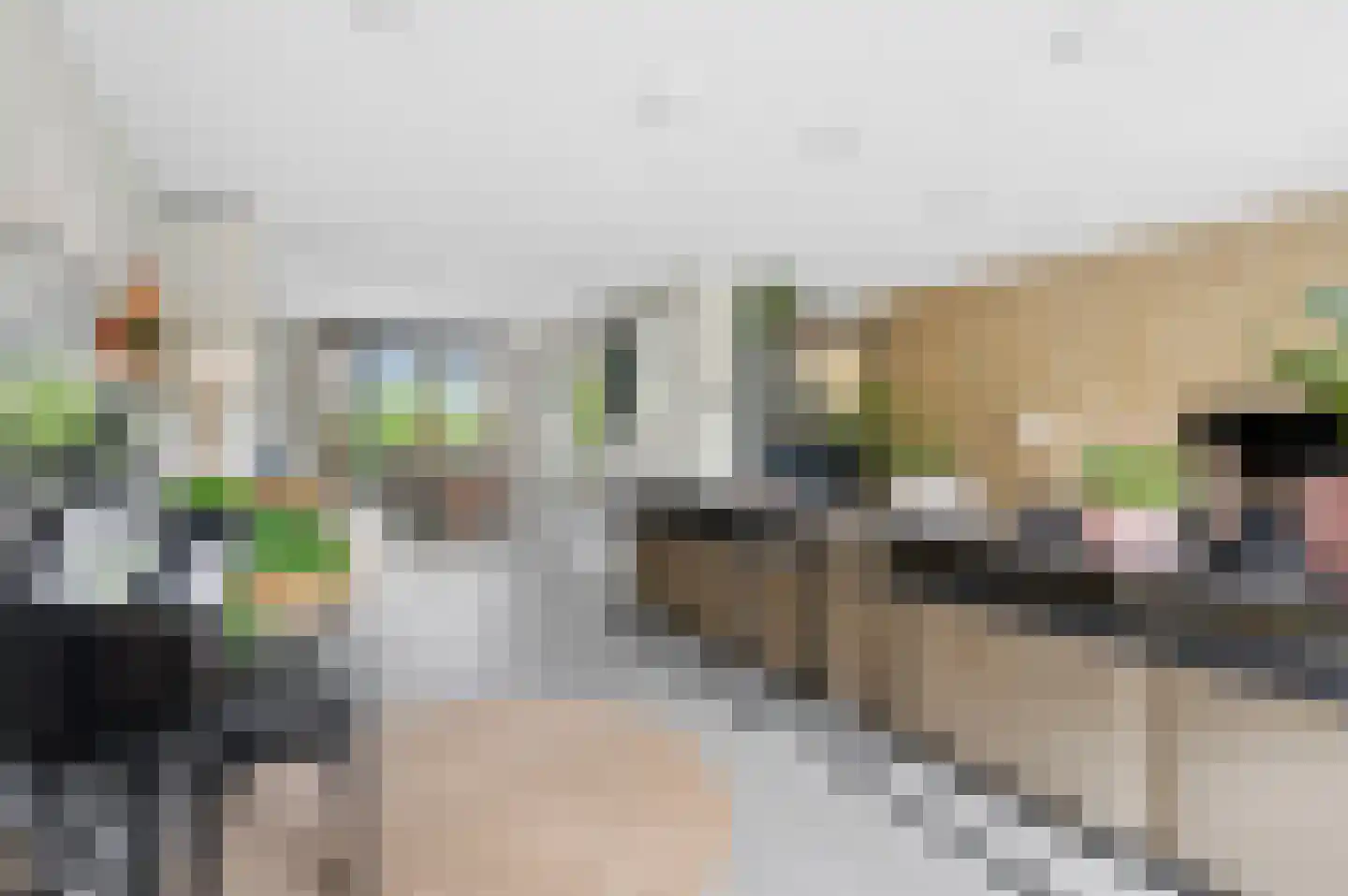 Grashof 35 Nijkerk thumbnail 14