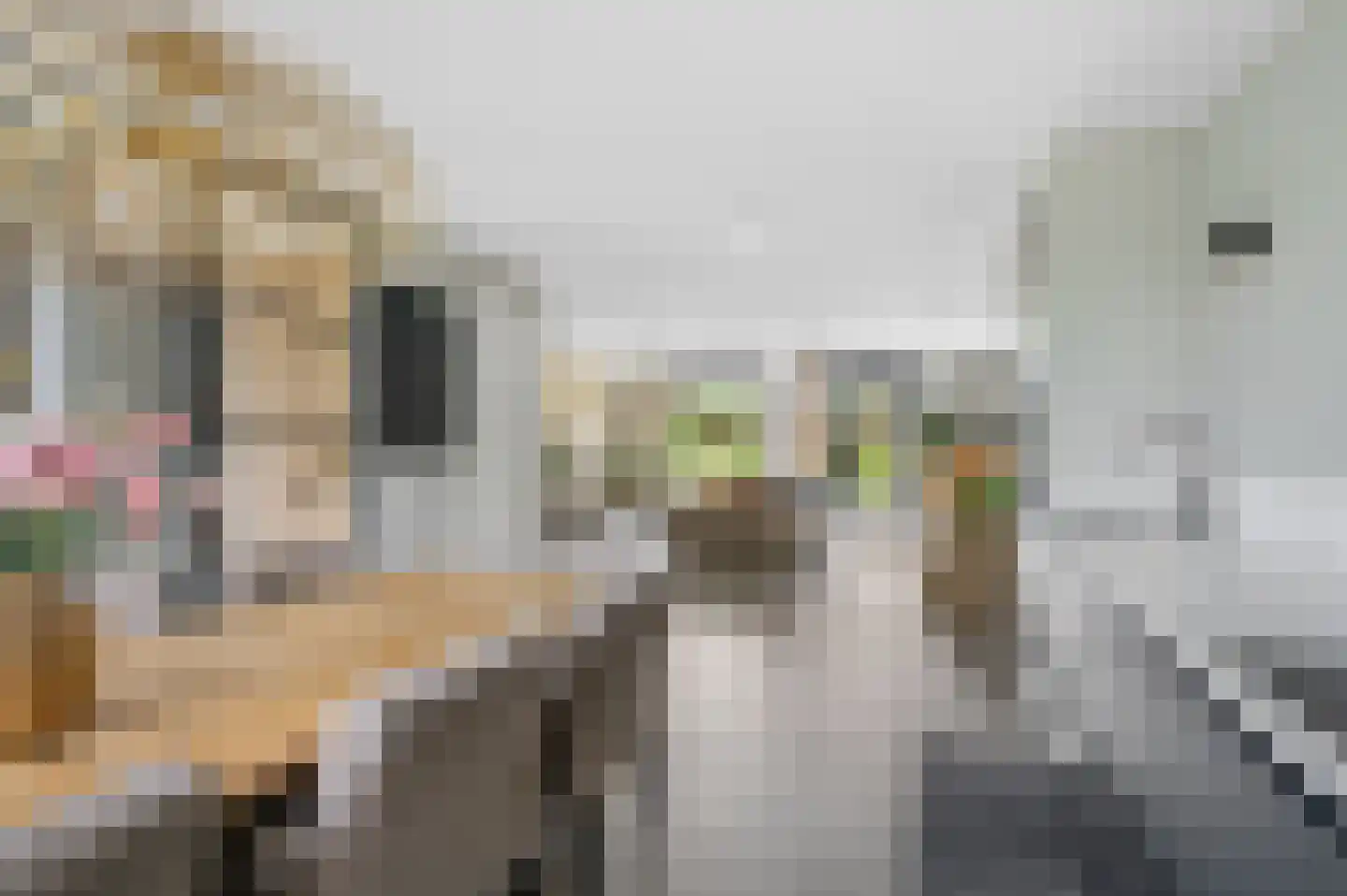 Grashof 35 Nijkerk thumbnail 20