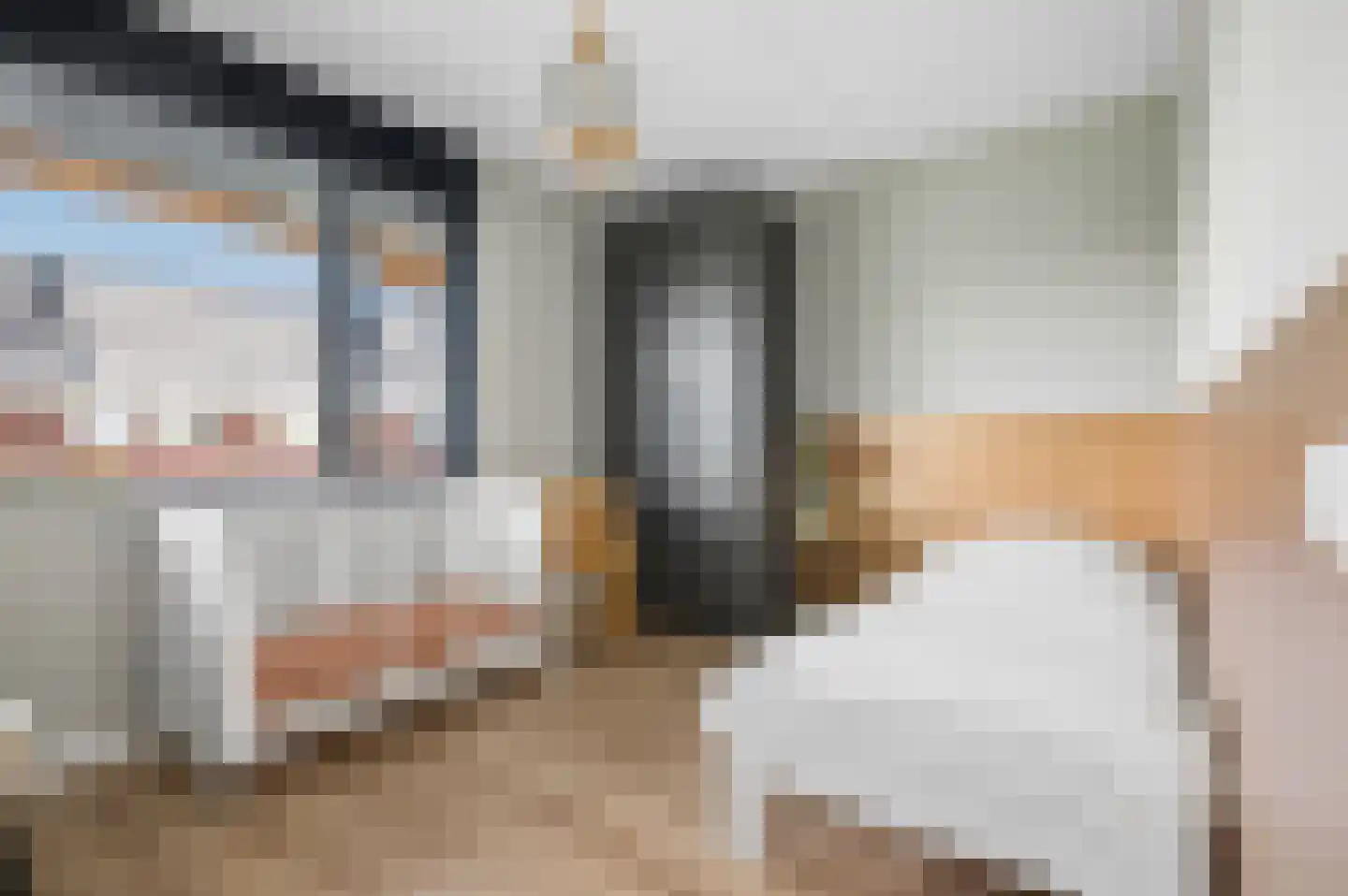 Grashof 35 Nijkerk thumbnail 27