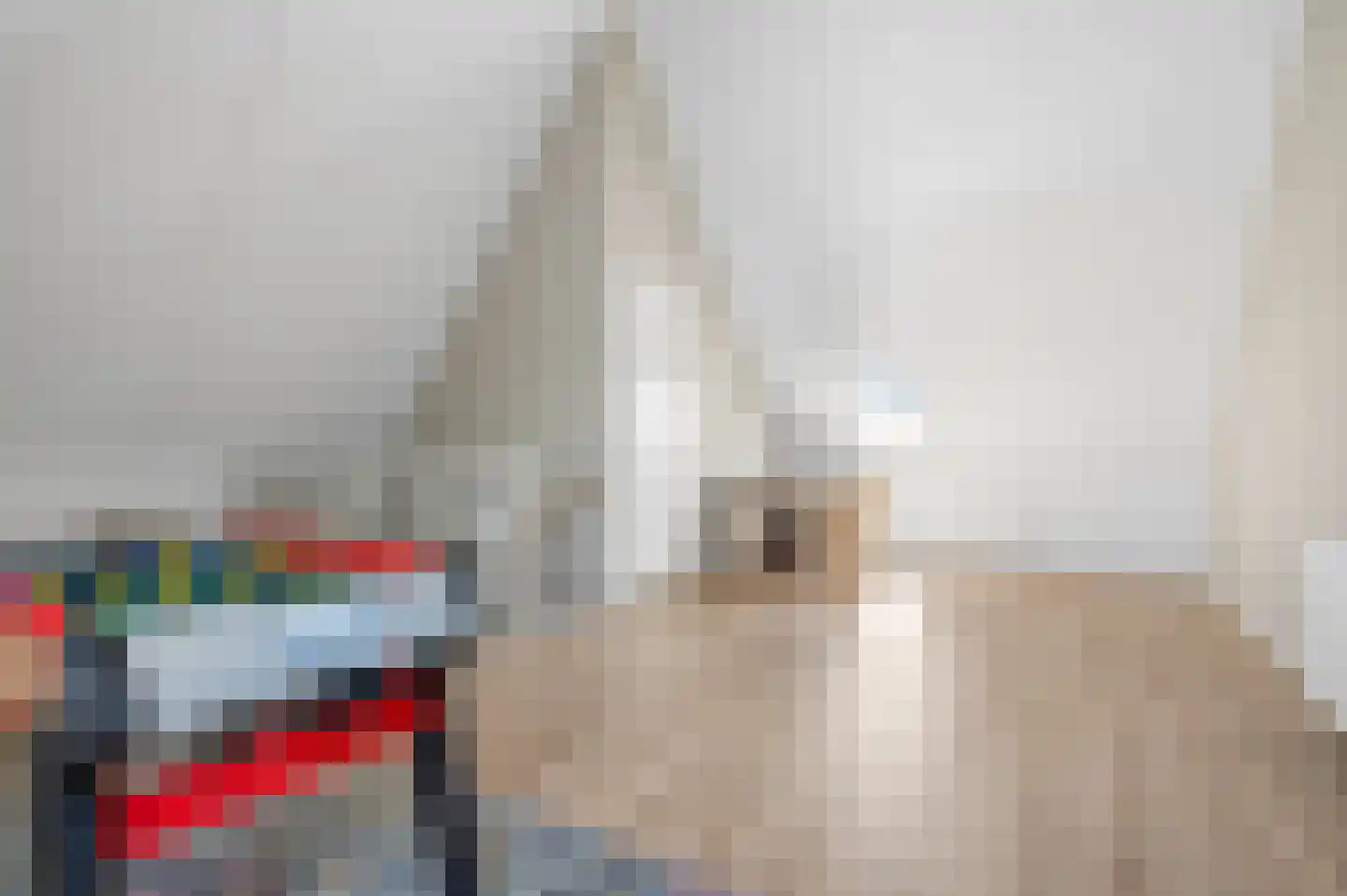 Grashof 35 Nijkerk thumbnail 37