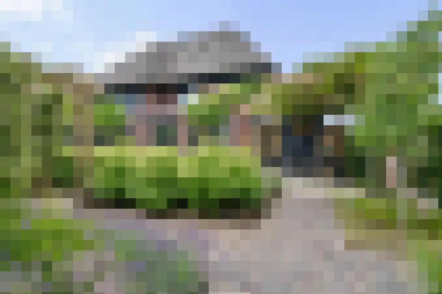 Grashof 35 Nijkerk thumbnail 5