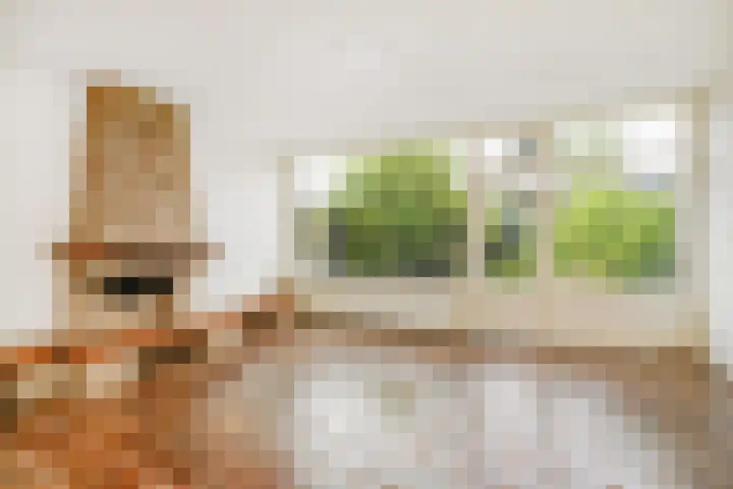 Grashof 4 Alphen aan den Rijn thumbnail 10
