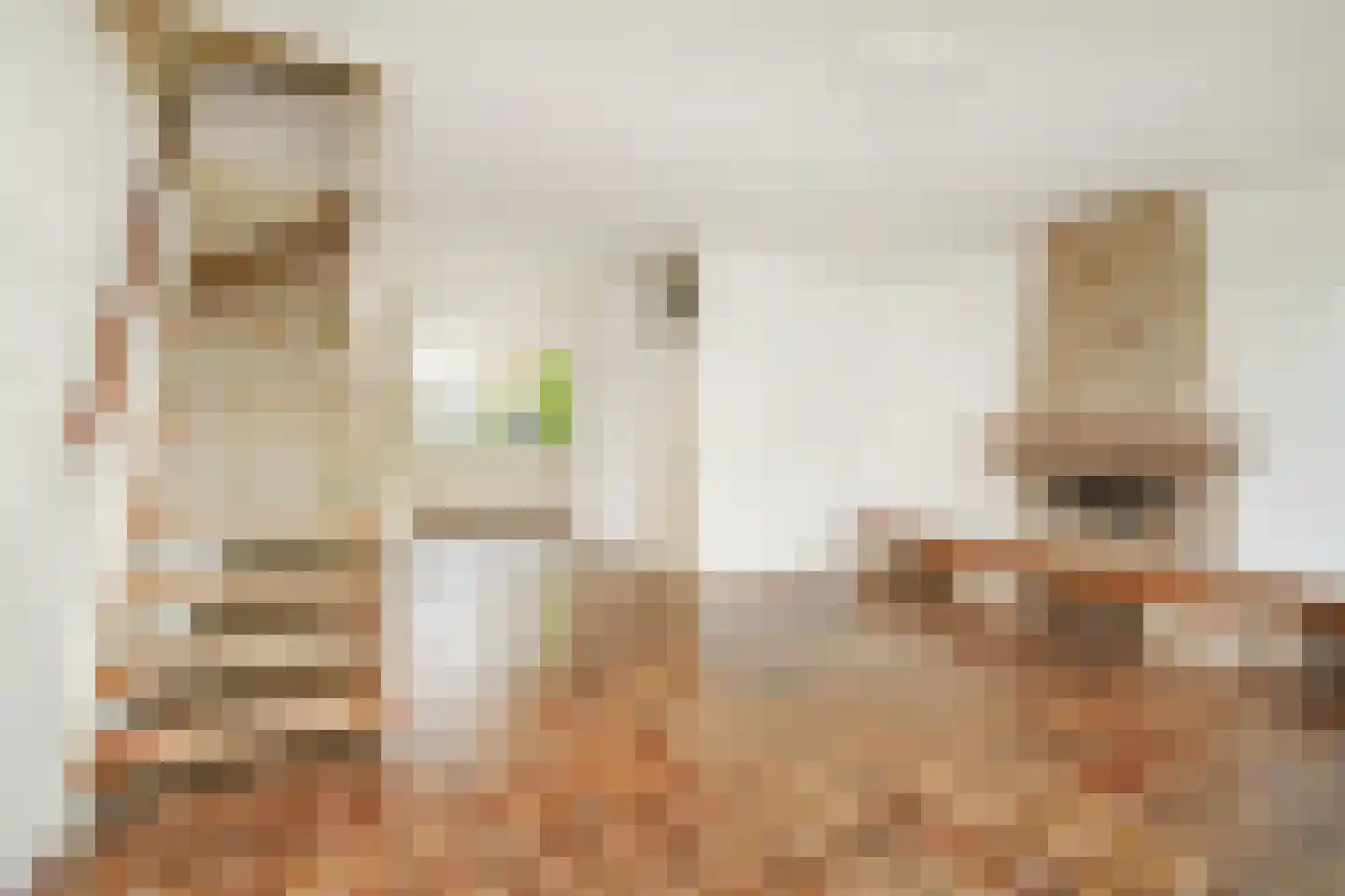 Grashof 4 Alphen aan den Rijn thumbnail 11