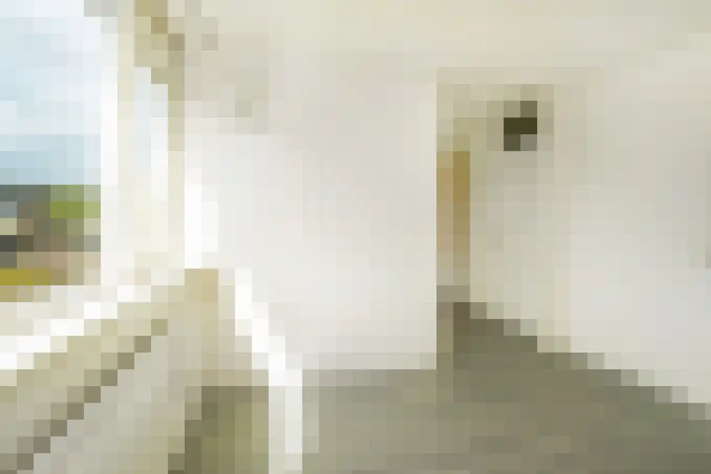 Grashof 4 Alphen aan den Rijn thumbnail 28