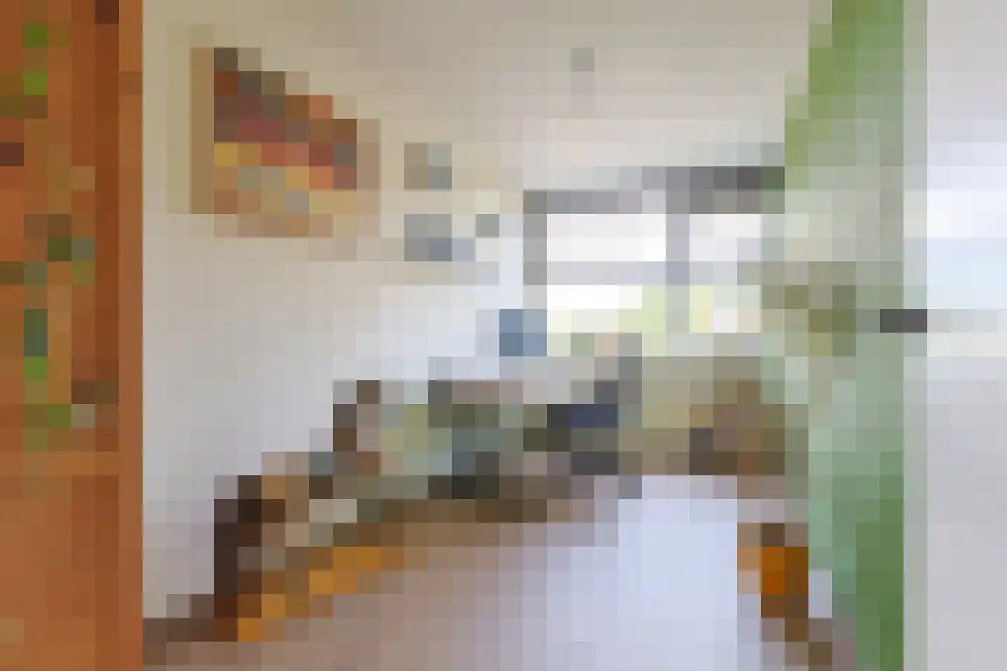 Grashof 4 Alphen aan den Rijn thumbnail 29
