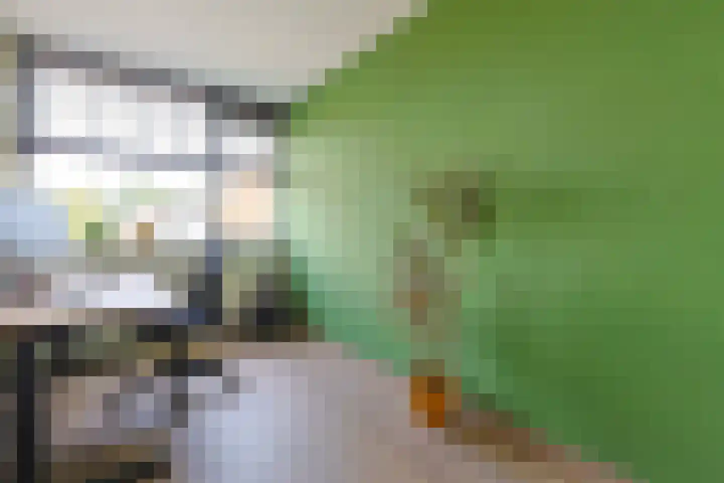 Grashof 4 Alphen aan den Rijn thumbnail 30
