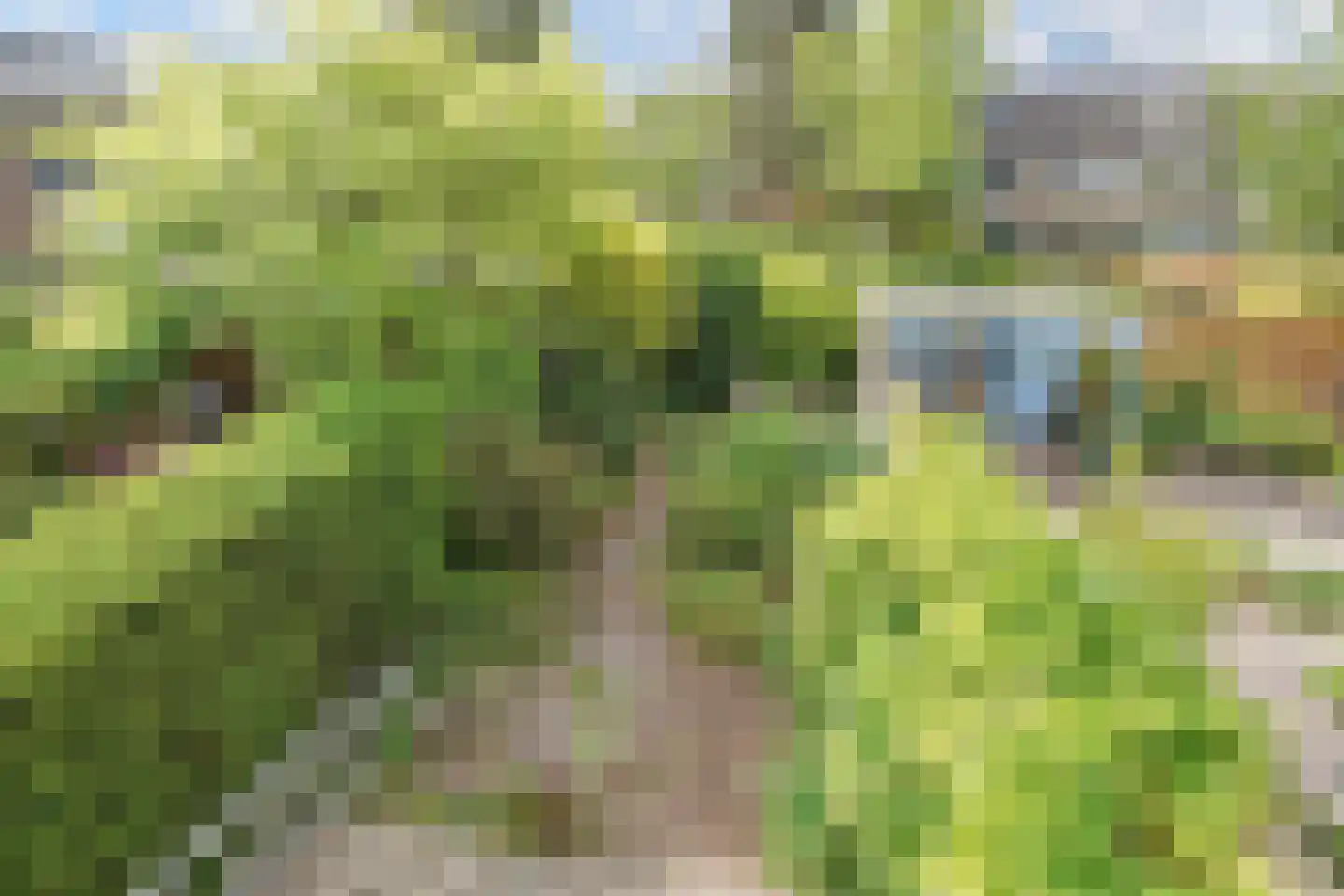 Grashof 4 Alphen aan den Rijn thumbnail 36