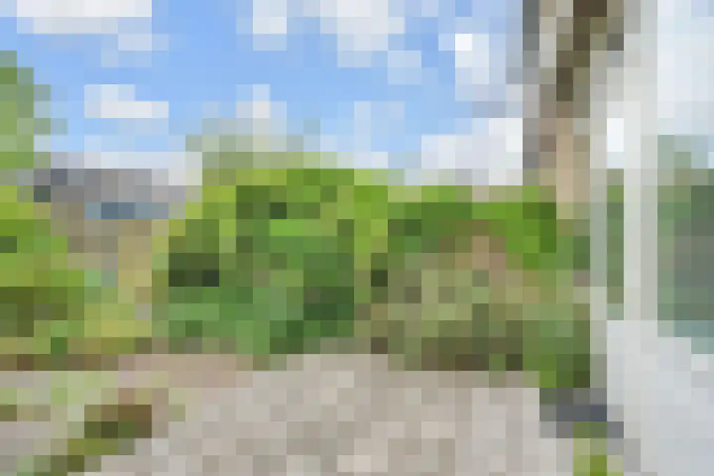 Grashof 4 Alphen aan den Rijn thumbnail 37