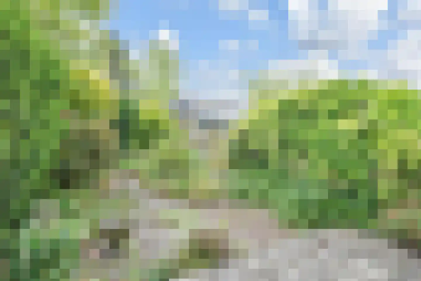 Grashof 4 Alphen aan den Rijn thumbnail 38