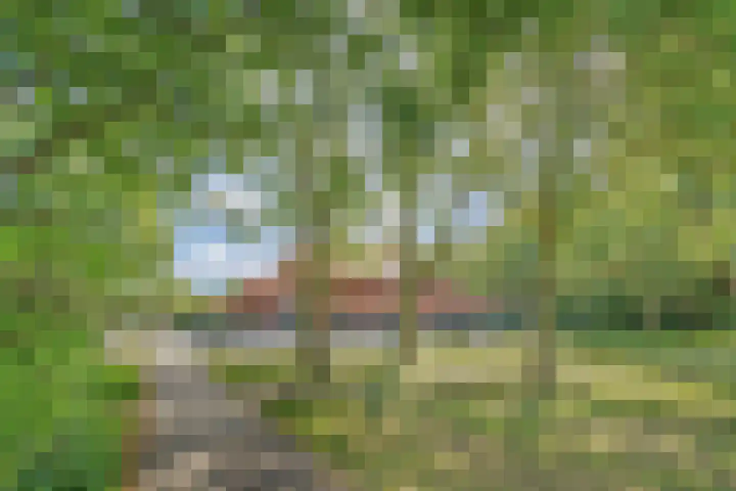 Grashof 4 Alphen aan den Rijn thumbnail 43