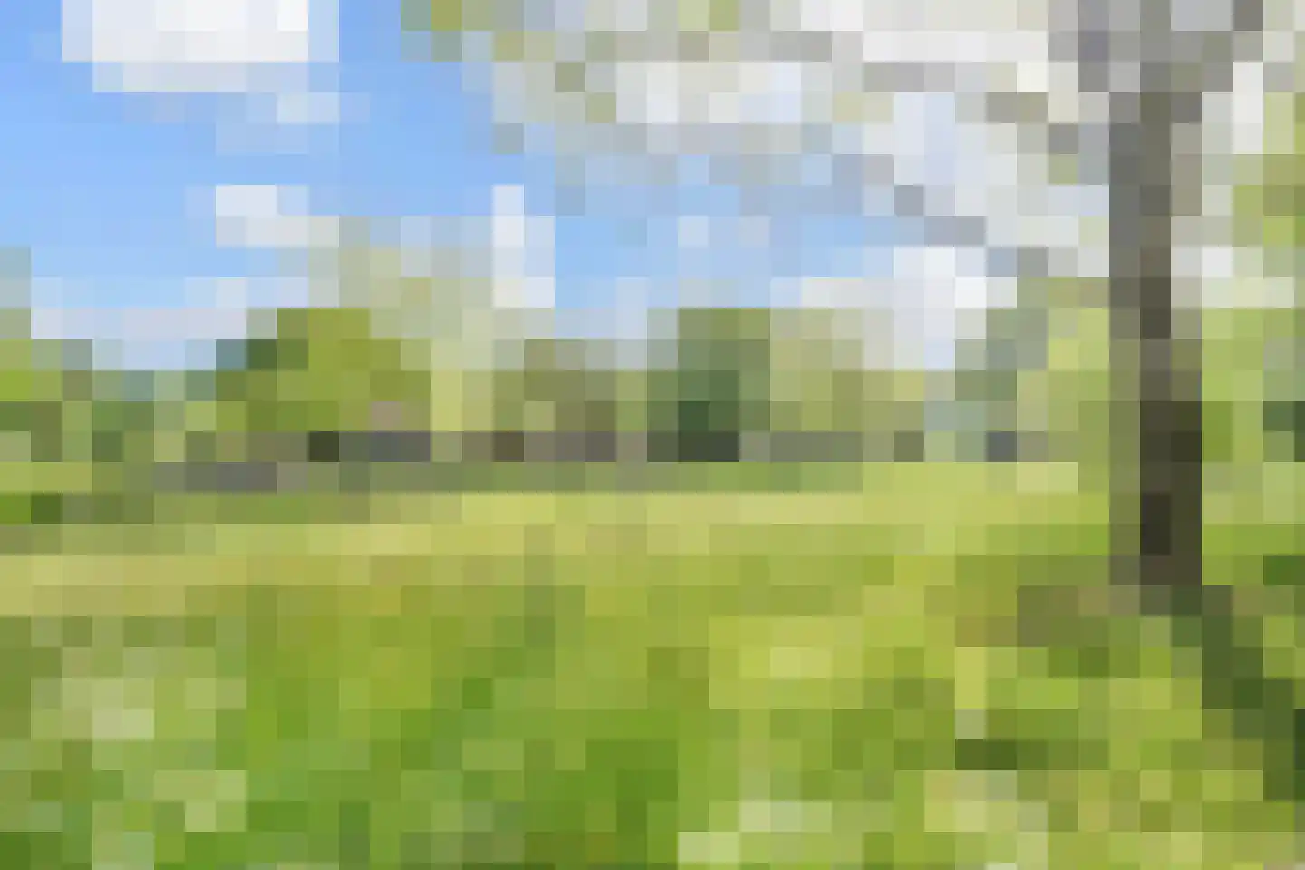 Grashof 4 Alphen aan den Rijn thumbnail 44